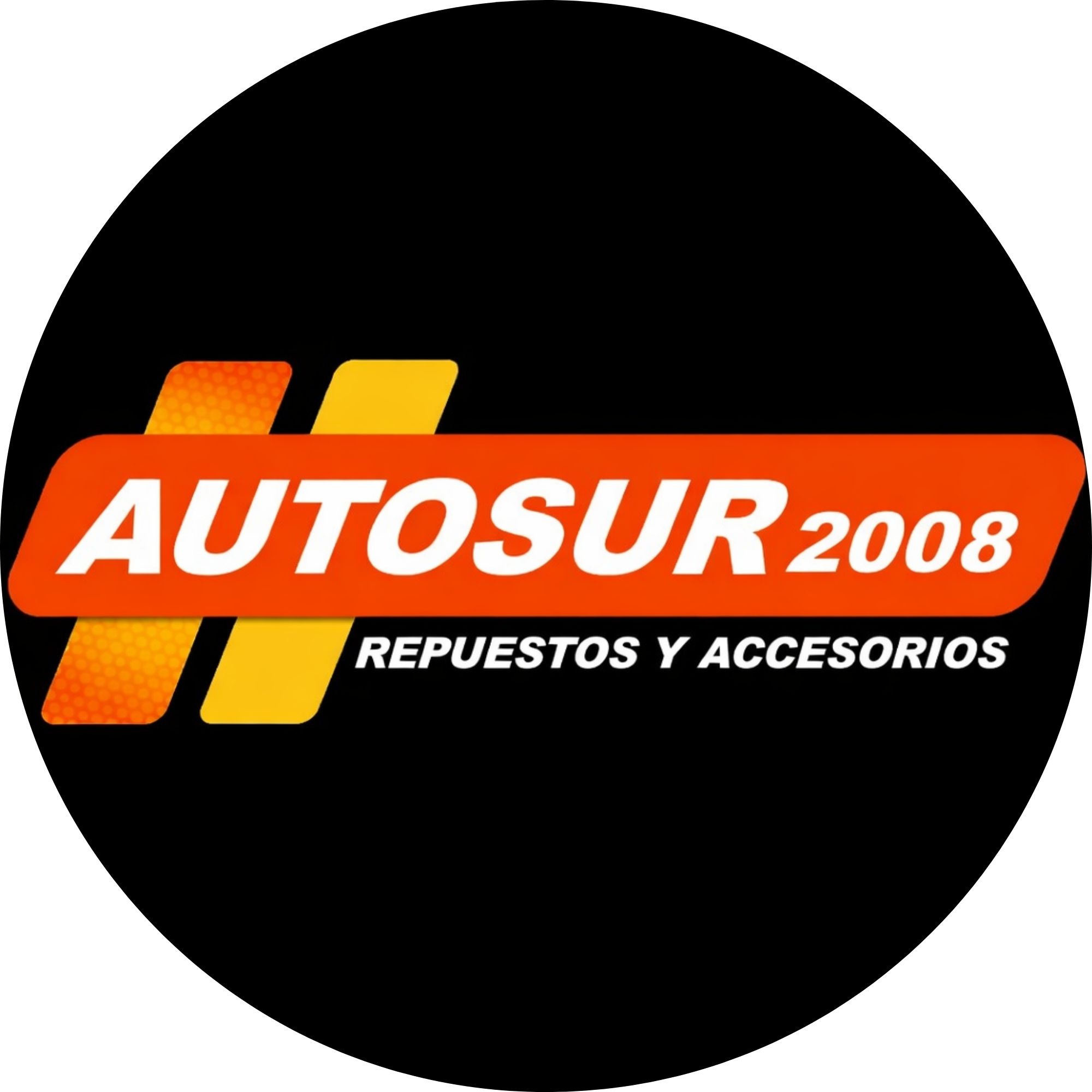 AUTOSUR 2008 C.A